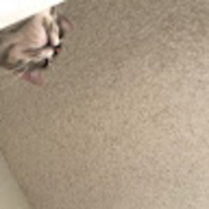 Meet your Posher, Hello